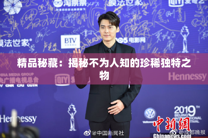 精品秘藏：揭秘不为人知的珍稀独特之物