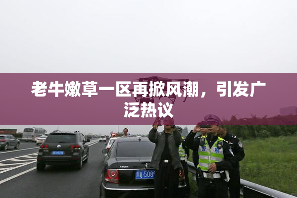 老牛嫩草一区再掀风潮，引发广泛热议