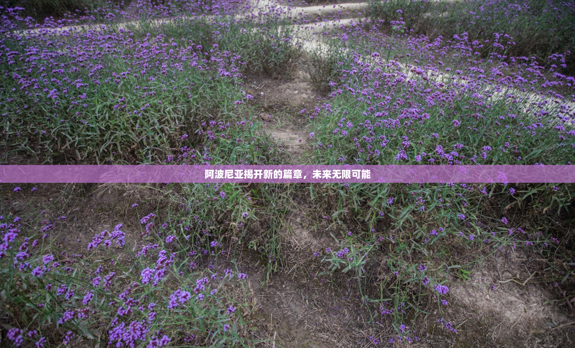 阿波尼亚揭开新的篇章，未来无限可能