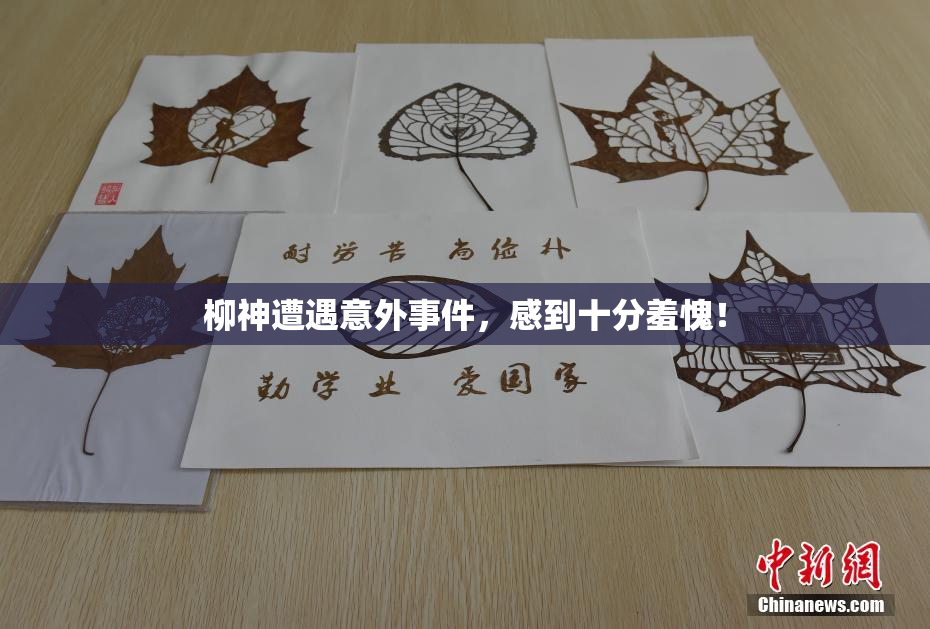 柳神遭遇意外事件，感到十分羞愧！