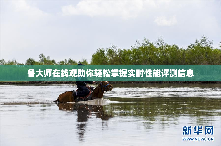 鲁大师在线观助你轻松掌握实时性能评测信息
