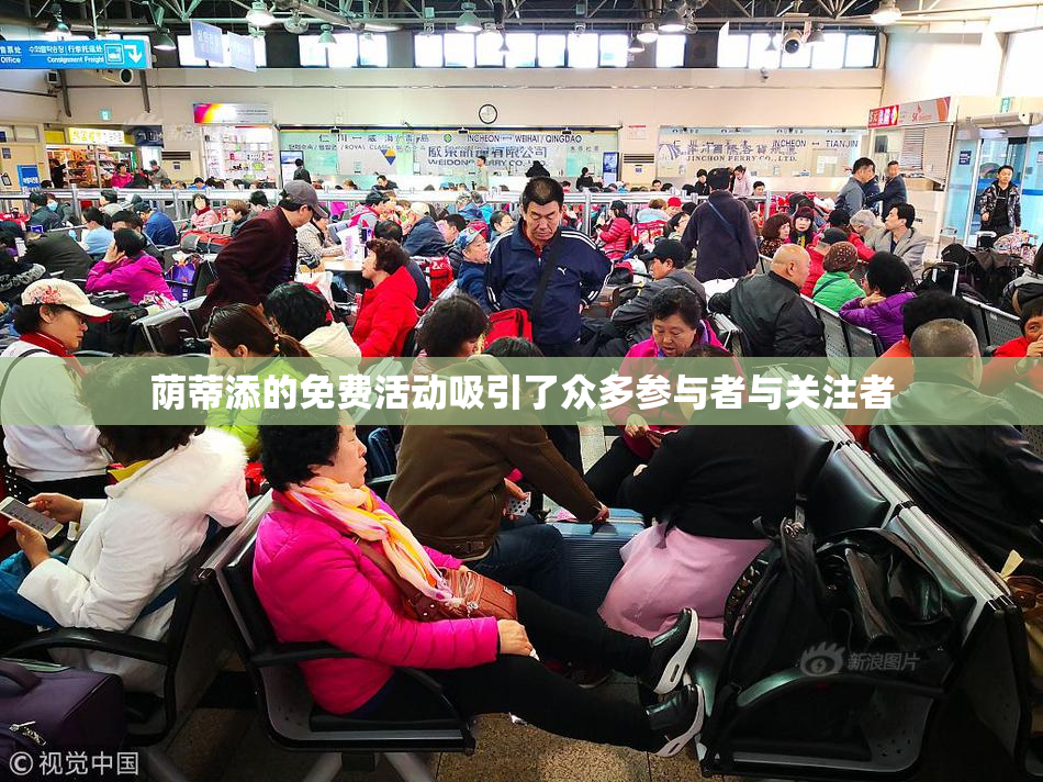 荫蒂添的免费活动吸引了众多参与者与关注者