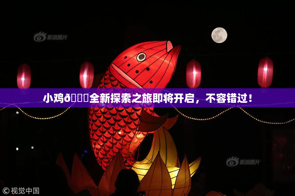 小鸡🐔全新探索之旅即将开启，不容错过！