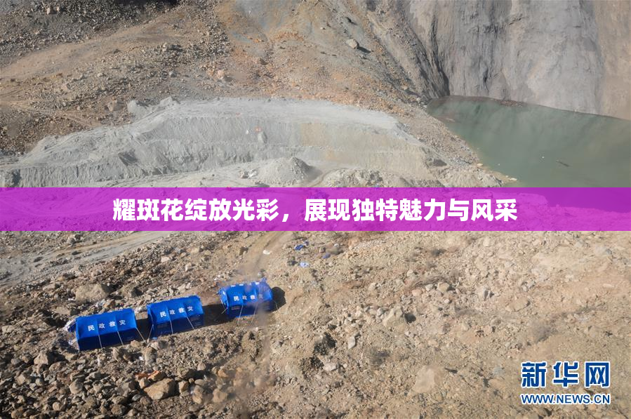 耀斑花绽放光彩，展现独特魅力与风采