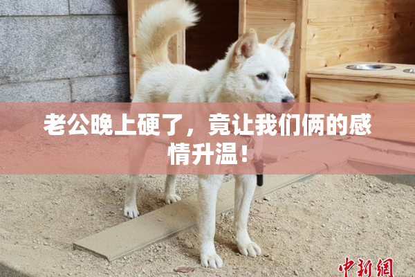 老公晚上硬了，竟让我们俩的感情升温！