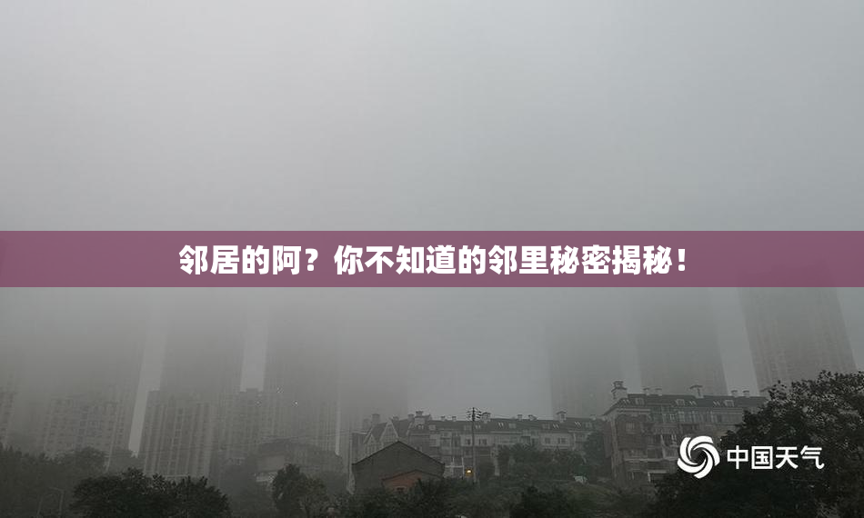 邻居的阿？你不知道的邻里秘密揭秘！