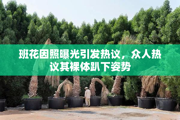 班花因照曝光引发热议，众人热议其裸体趴下姿势
