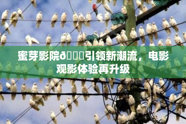蜜芽影院🔞引领新潮流，电影观影体验再升级