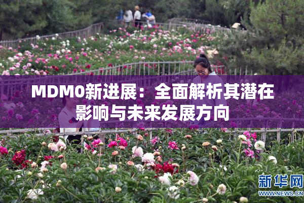 MDM0新进展：全面解析其潜在影响与未来发展方向