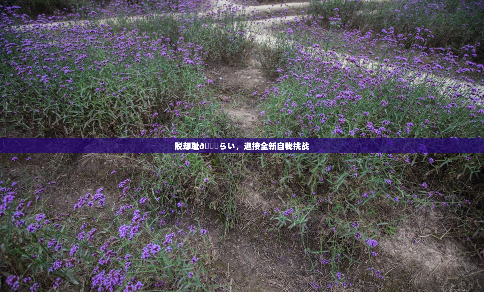 脱却耻🍓らい，迎接全新自我挑战