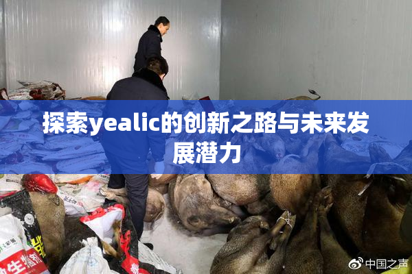 探索yealic的创新之路与未来发展潜力