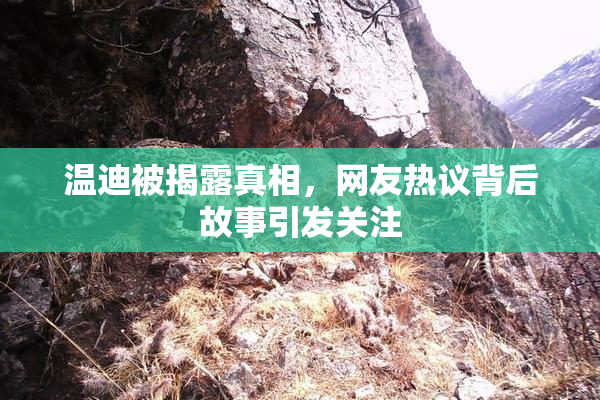 温迪被揭露真相，网友热议背后故事引发关注