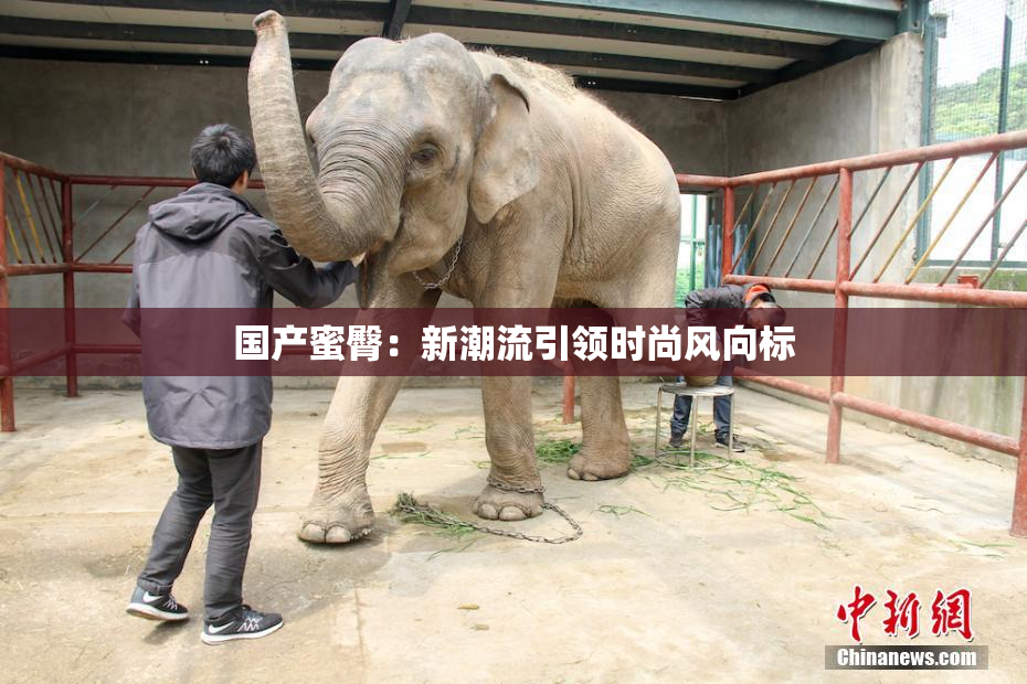 国产蜜臀：新潮流引领时尚风向标