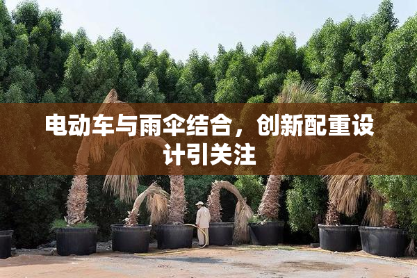 电动车与雨伞结合，创新配重设计引关注