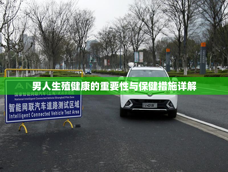 男人生殖健康的重要性与保健措施详解