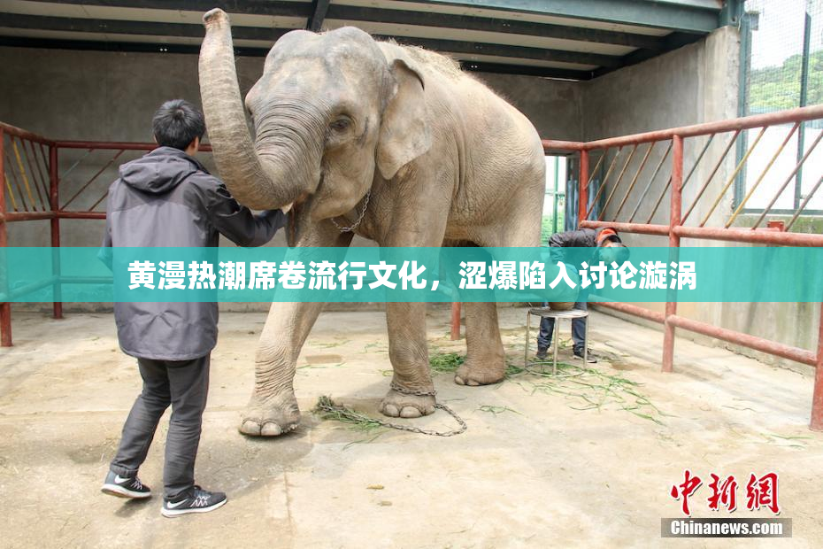 黄漫热潮席卷流行文化，涩爆陷入讨论漩涡