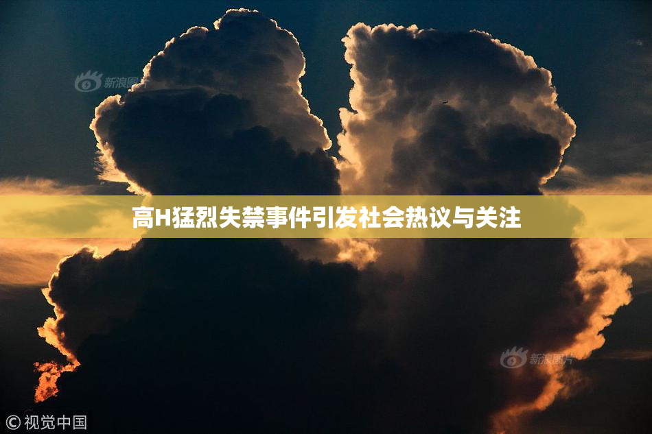 高H猛烈失禁事件引发社会热议与关注