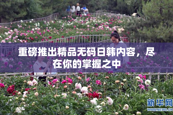 重磅推出精品无码日韩内容，尽在你的掌握之中
