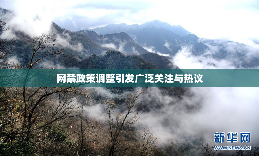 网禁政策调整引发广泛关注与热议