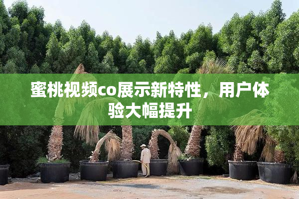 蜜桃视频co展示新特性，用户体验大幅提升