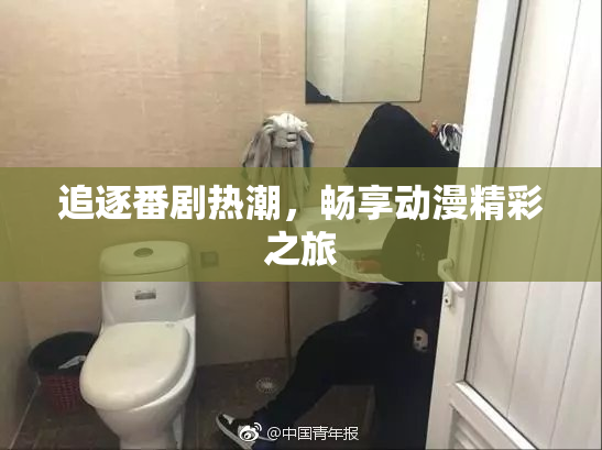 追逐番剧热潮，畅享动漫精彩之旅