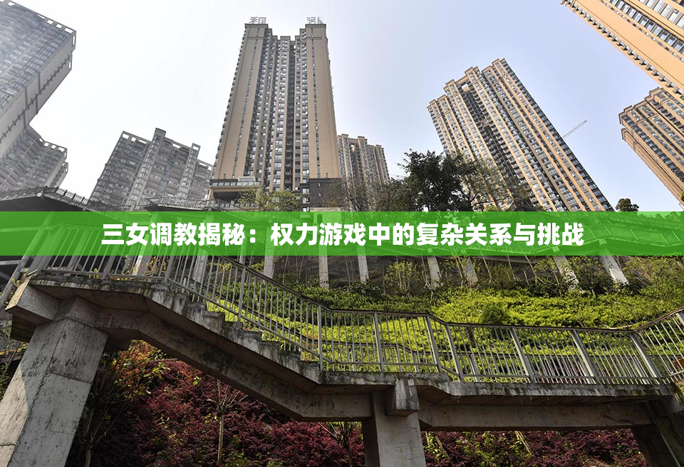三女调教揭秘：权力游戏中的复杂关系与挑战