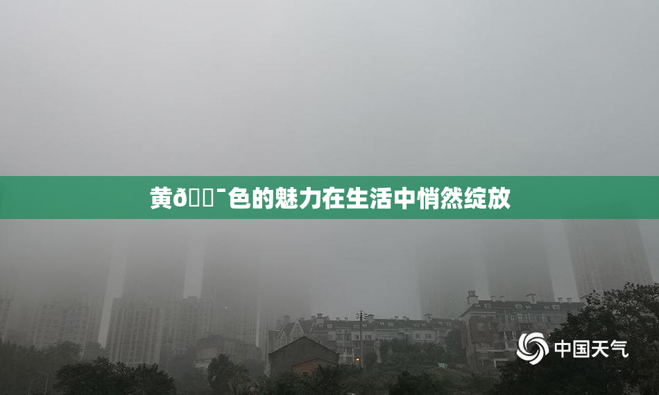 黄🔯色的魅力在生活中悄然绽放