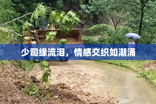 少司缘流泪，情感交织如潮涌