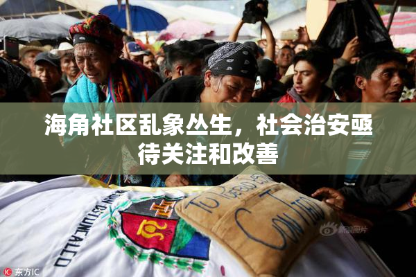 海角社区乱象丛生，社会治安亟待关注和改善