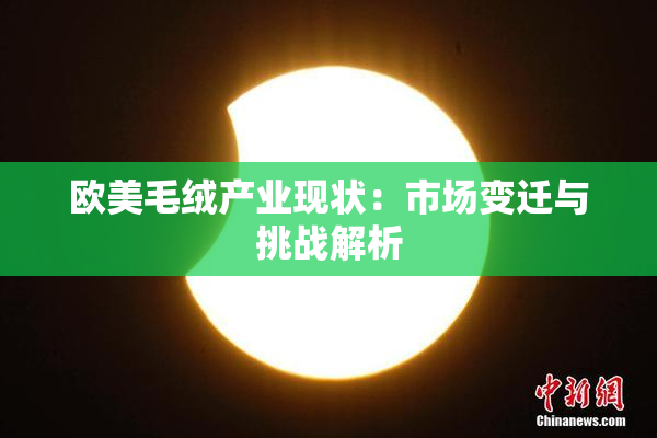 欧美毛绒产业现状：市场变迁与挑战解析