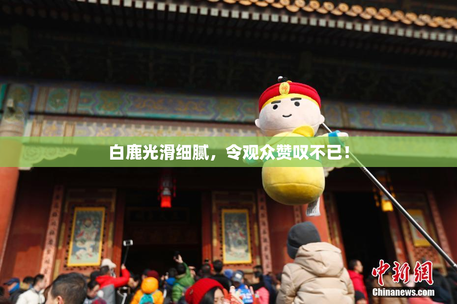 白鹿光滑细腻，令观众赞叹不已！
