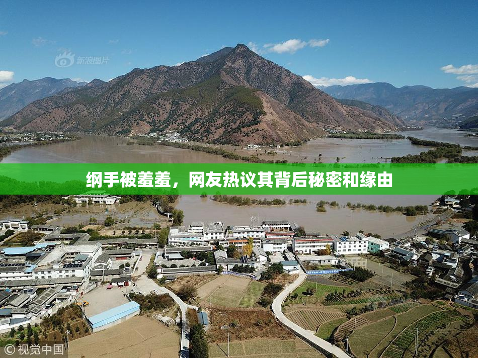 纲手被羞羞，网友热议其背后秘密和缘由