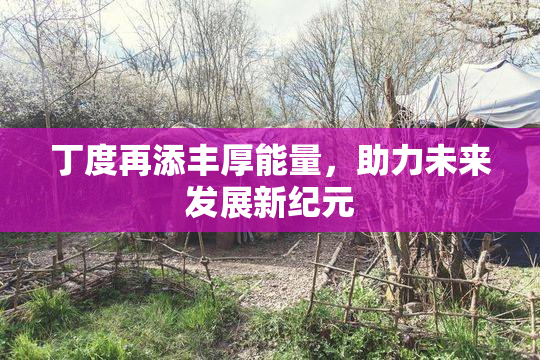 丁度再添丰厚能量，助力未来发展新纪元
