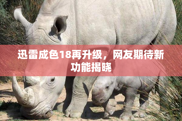 迅雷成色18再升级，网友期待新功能揭晓