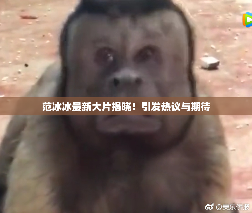 范冰冰最新大片揭晓！引发热议与期待