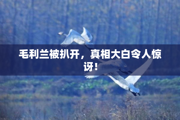 毛利兰被扒开，真相大白令人惊讶！
