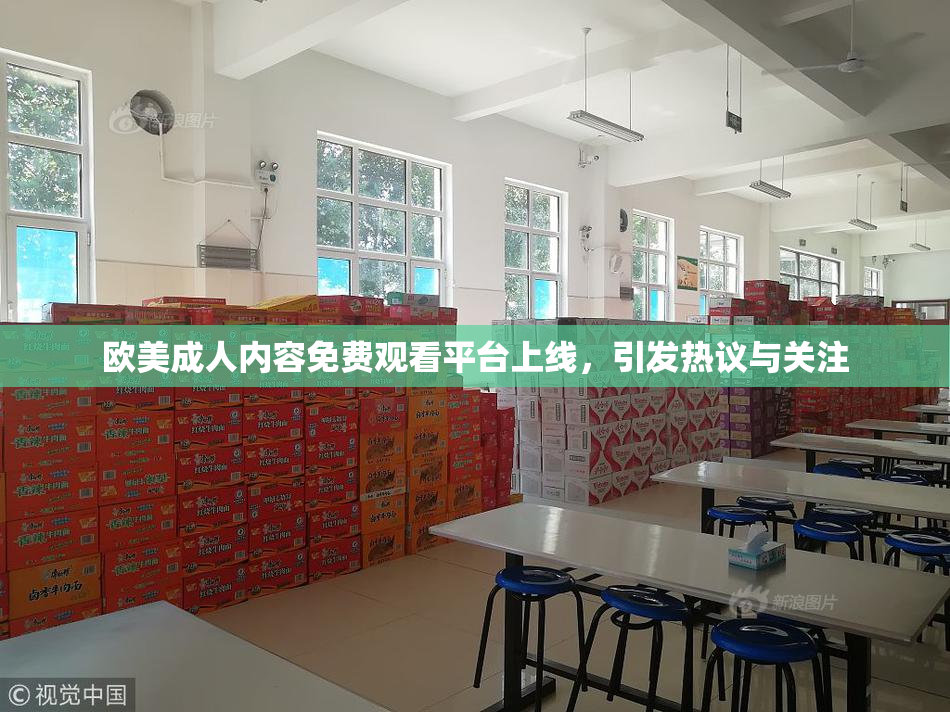 欧美成人内容免费观看平台上线，引发热议与关注