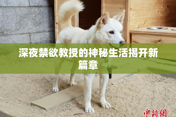 深夜禁欲教授的神秘生活揭开新篇章