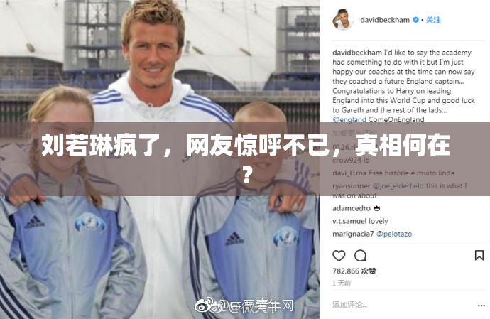 刘若琳疯了，网友惊呼不已，真相何在？