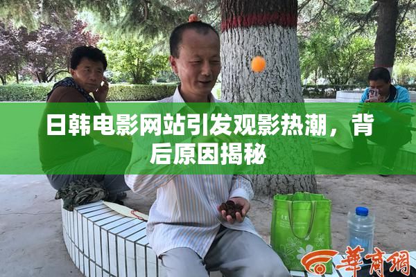 日韩电影网站引发观影热潮，背后原因揭秘