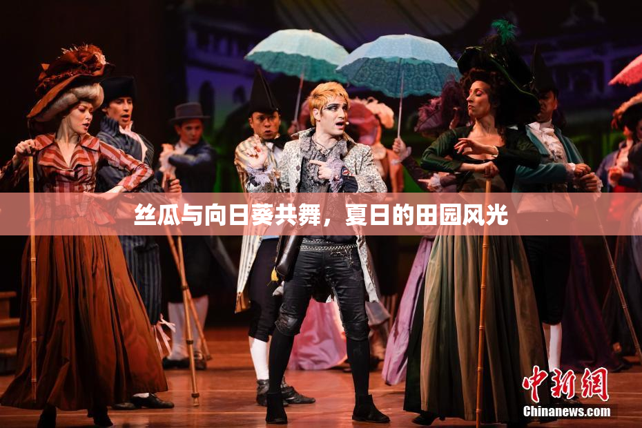 丝瓜与向日葵共舞，夏日的田园风光