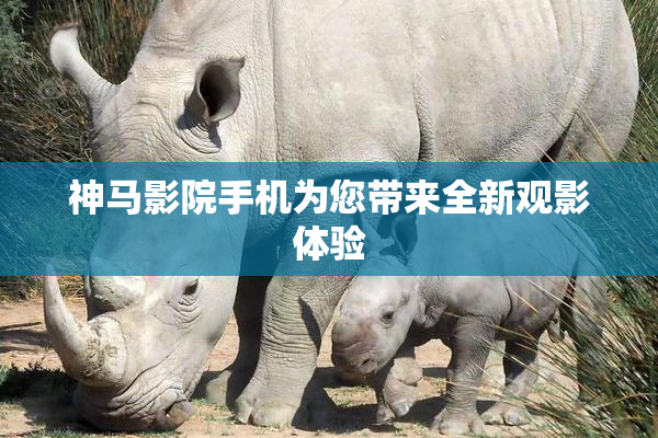 神马影院手机为您带来全新观影体验