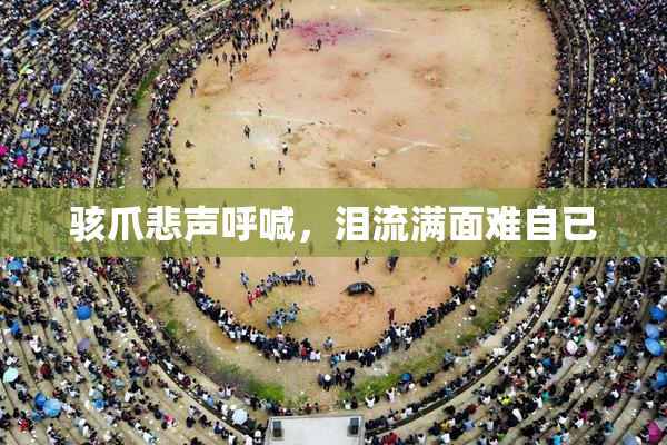 骇爪悲声呼喊，泪流满面难自已