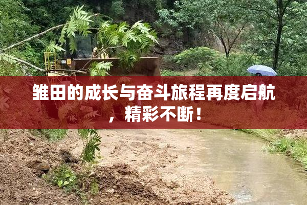 雏田的成长与奋斗旅程再度启航，精彩不断！