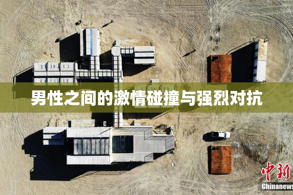 男性之间的激情碰撞与强烈对抗
