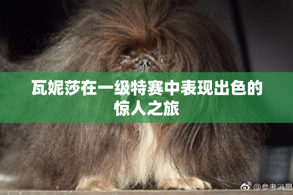 瓦妮莎在一级特赛中表现出色的惊人之旅