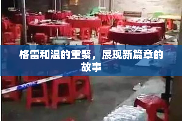 格雷和温的重聚，展现新篇章的故事