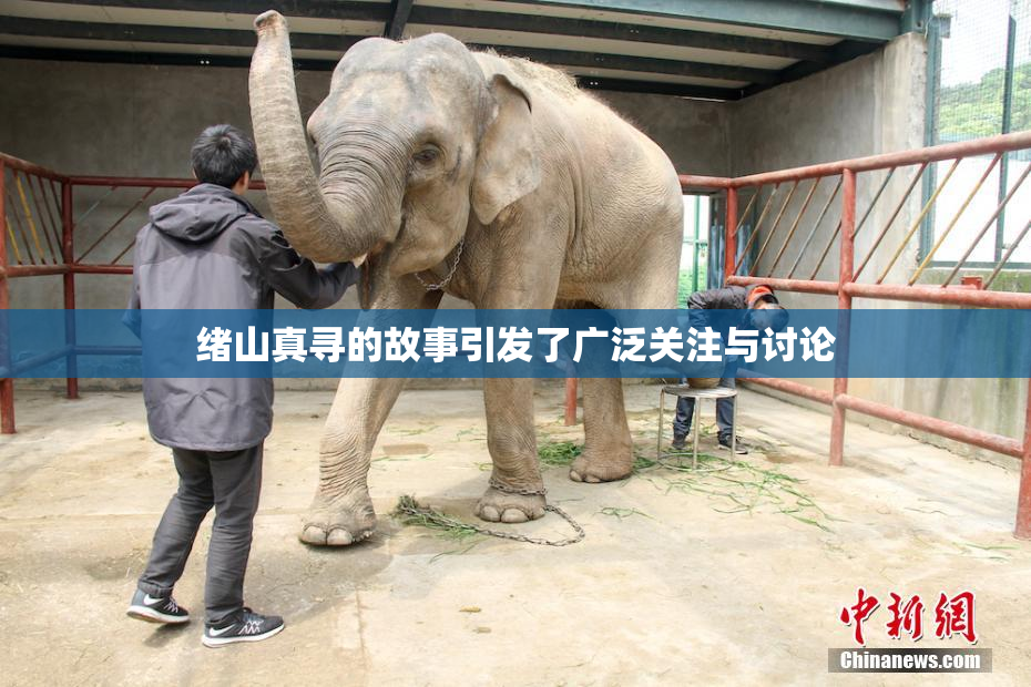 绪山真寻的故事引发了广泛关注与讨论