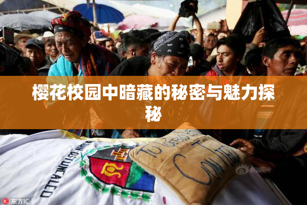 樱花校园中暗藏的秘密与魅力探秘