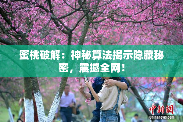 蜜桃破解：神秘算法揭示隐藏秘密，震撼全网！
